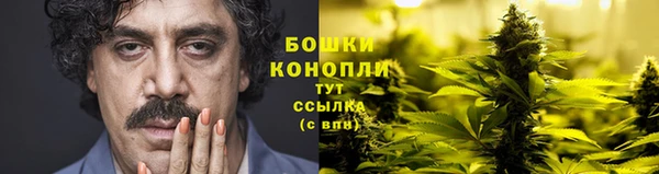 сатива Абдулино