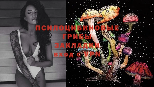 спиды Абинск