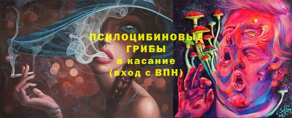 сатива Абдулино