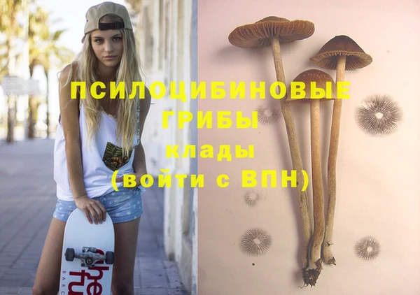прущие крисы Абаза