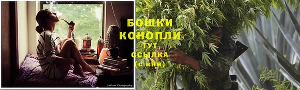 сатива Абдулино