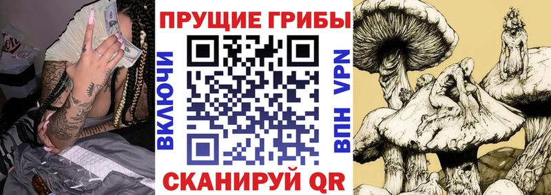 Галлюциногенные грибы Psilocybine cubensis  MEGA как войти  Нелидово 